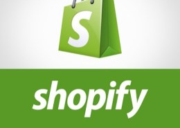 How can I access my shopify ?