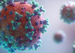 How has the coronavirus affected you?