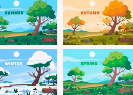 Do all countries have 4 seasons?