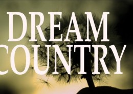 What is your dream country and why?