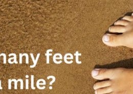 How many feet in a mile?