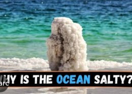 Why is the ocean salty?