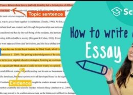 How to write an essay?