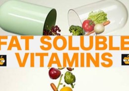 Which vitamins are fat soluble?