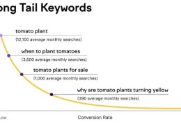 When should Short Tail and Long Tail keywords be targeted?