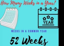 How many weeks are in a year?