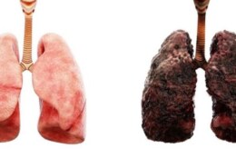 Do smokers lungs heal after quitting?