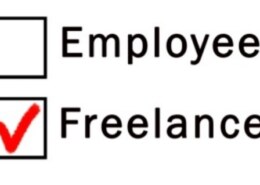 What is your freelance job and how much do you earn?