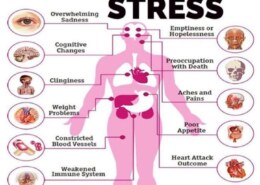 What diseases are caused by stress?