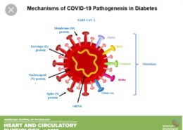 Are People With Type 1 Diabetes More At Risk Of Severe Covid-19?