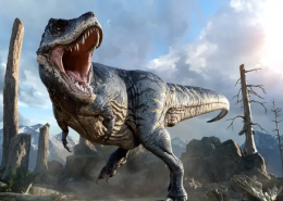 What period did the Tyrannosaurus Rex live during?