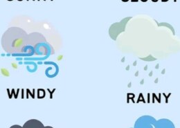 Select your favourite weather: sunny, rainy, snowy