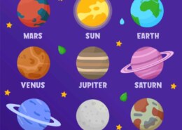 Choose your favourite planet in our solar system: mercury, venus , earth