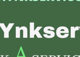 How to add my services on Ynkserv?