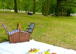 Do you enjoy picnicking in the park or dining in fancy restaurant?